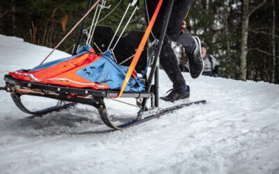 22. Internationales Schlittenhunderennen in Bad-Hindelang-Unterjoch