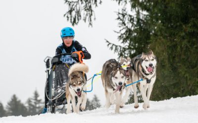 Schlittenhunde-Weltcup in Unterjoch 2022