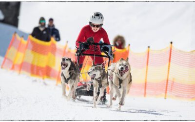 Die Weltmeisterin im Hundeschlittenrennen aus Eberbach und ihre Huskies