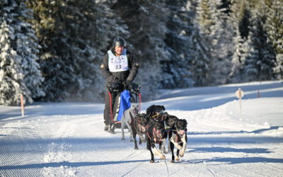 WSA World Trophy 25/26 / IFSS Worldcuprace /  Deutsche Meisterschaften VDSV 2026
